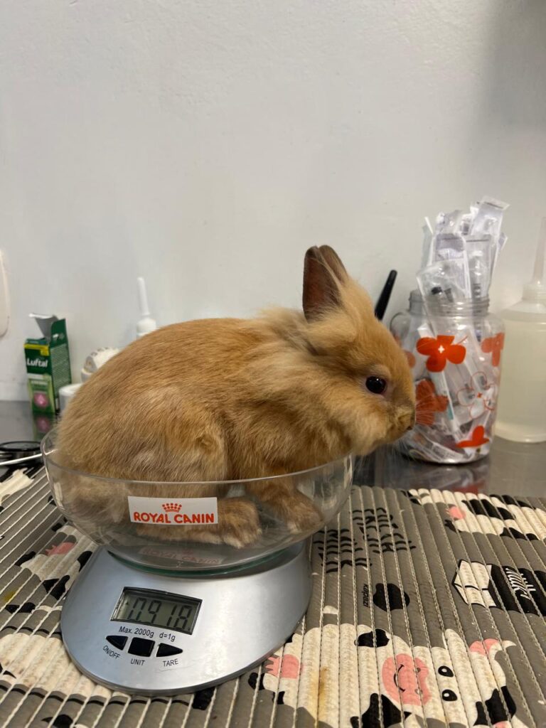 WhatsApp Image 2026-02-11 at 23.17.57 (1)