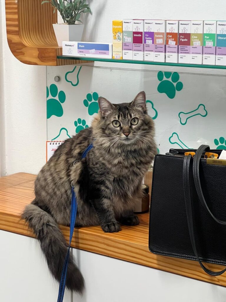 WhatsApp Image 2026-02-11 at 23.17.57