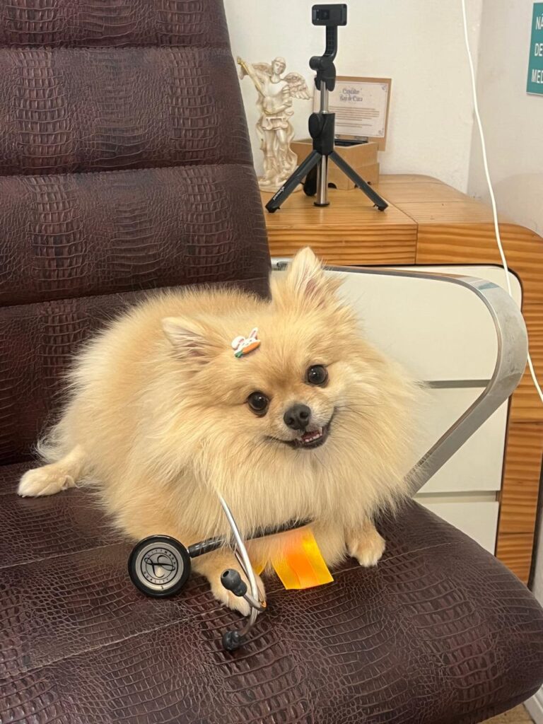 WhatsApp Image 2026-02-11 at 23.17.58 (1)