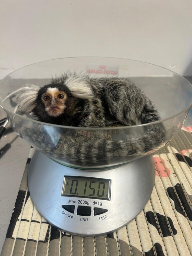 WhatsApp Image 2026-02-11 at 23.17.58